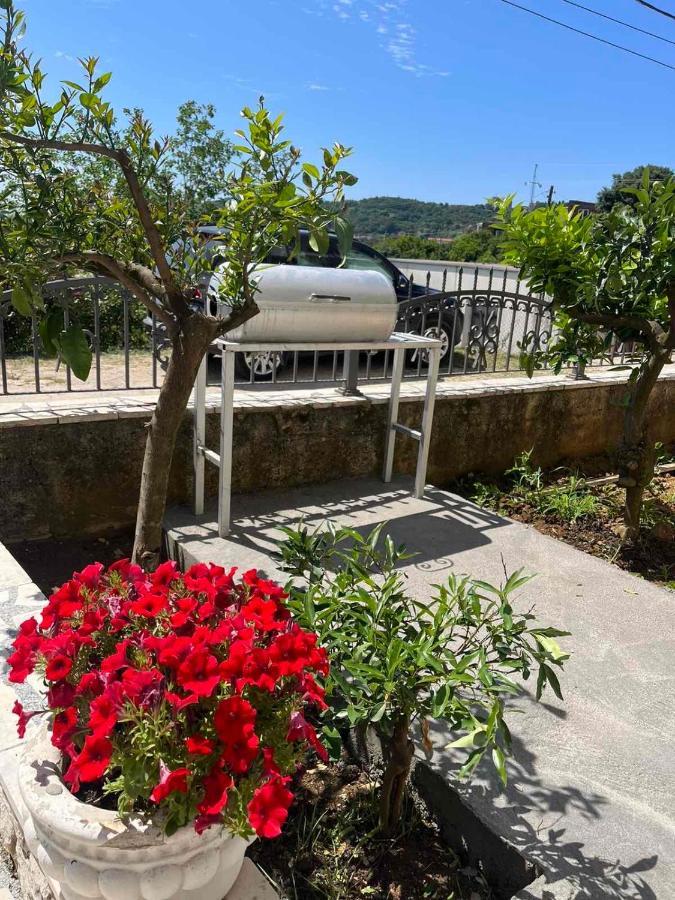 Imperator Apartments Ulcinj Zewnętrze zdjęcie